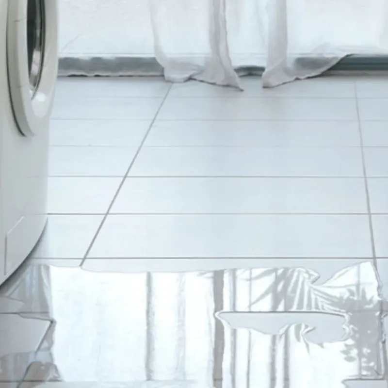 Appliance Leak Cleanup in Murray County, GA