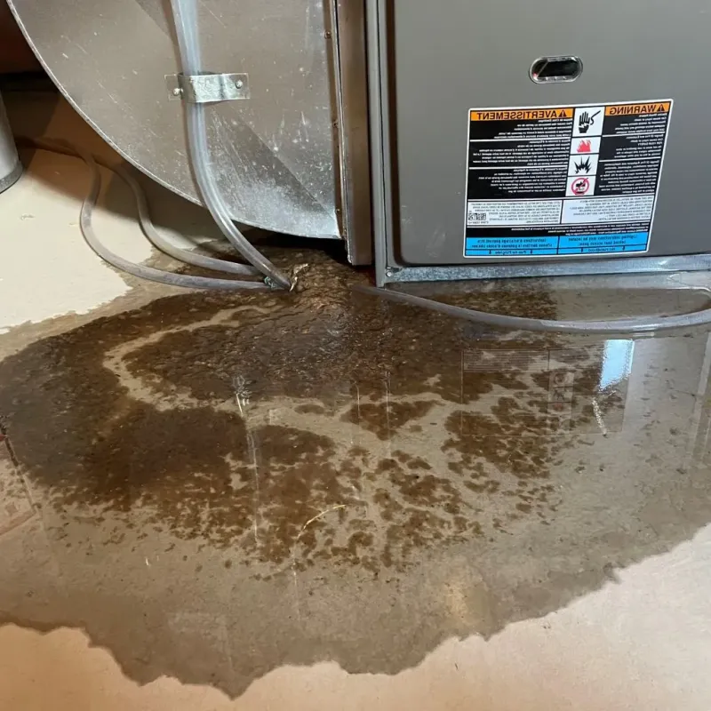 Pipe Burst and Leak Restoration in Murray County, GA
