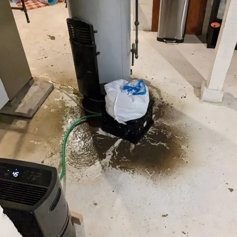 Sewage Backup Cleanup Service in Murray County, GA
